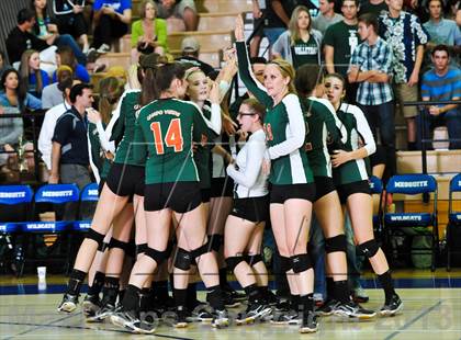 Thumbnail 2 in Sunnyslope @ Campo Verde (AIA D2 Final) photogallery.