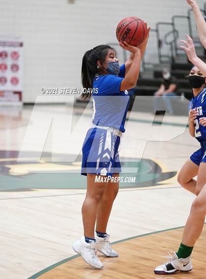Thumbnail 3 in Chandler @ Basha photogallery.
