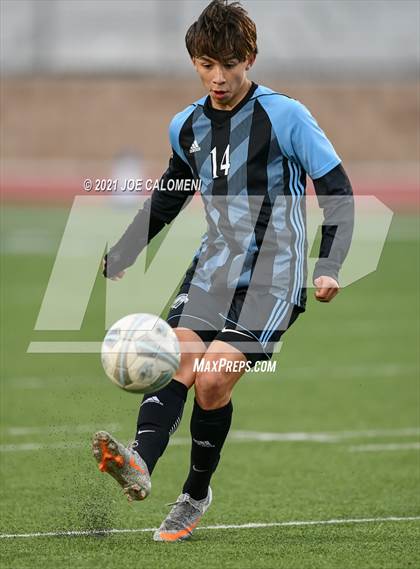 Thumbnail 1 in Brennan vs Harlan photogallery.