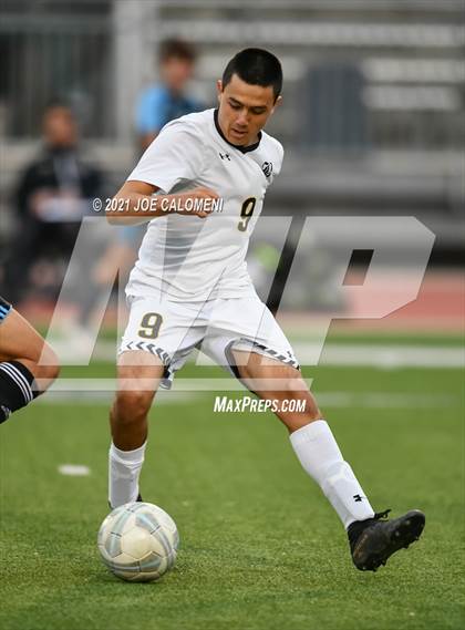 Thumbnail 3 in Brennan vs Harlan photogallery.