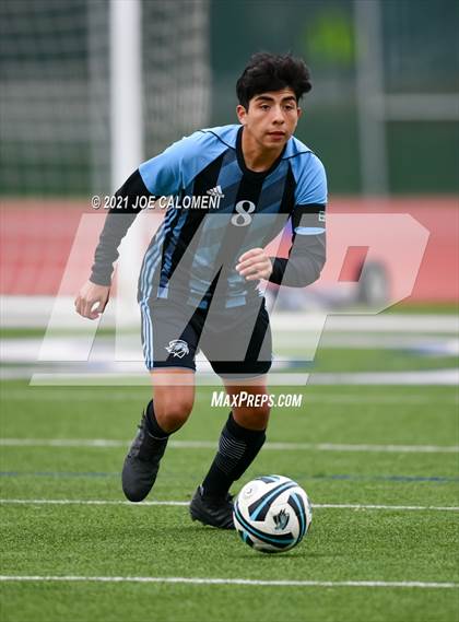 Thumbnail 1 in Brennan vs Harlan photogallery.