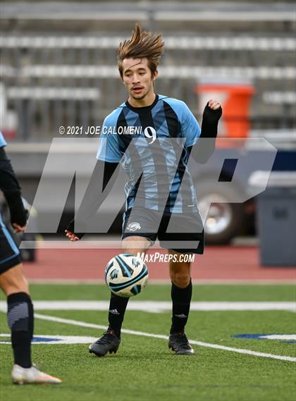 Thumbnail 2 in Brennan vs Harlan photogallery.