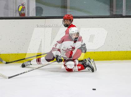 Thumbnail 3 in Hingham @ Arlington photogallery.