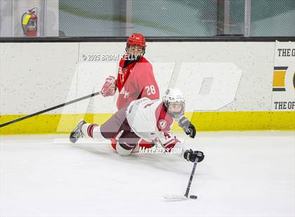 Thumbnail 3 in Hingham @ Arlington photogallery.
