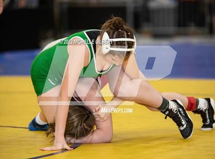 Thumbnail 2 in NYSHSAA Girls Invitational (Wrestleback Round) photogallery.