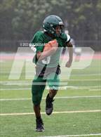 Photo from the gallery "Lindenhurst @ William Floyd"