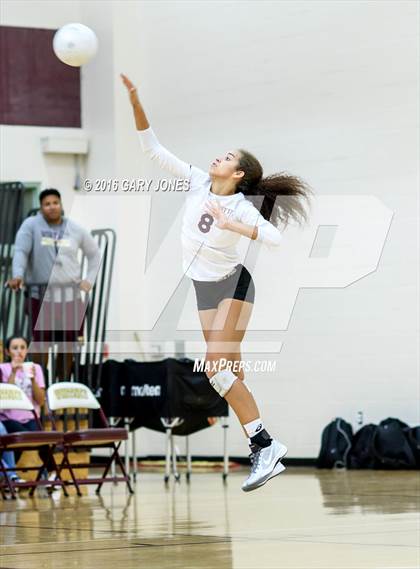 Thumbnail 1 in Whitney vs. St. Mary's (CIF SJS D2 Playoff) photogallery.