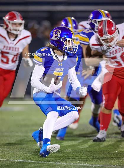 Thumbnail 3 in Ponder @ Brock photogallery.