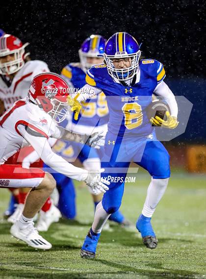 Thumbnail 2 in Ponder @ Brock photogallery.