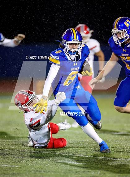 Thumbnail 1 in Ponder @ Brock photogallery.