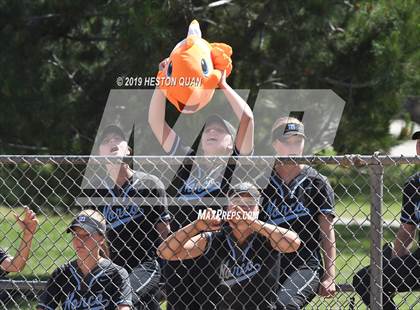 Thumbnail 1 in Los Alamitos vs. Norco (Michelle Carew Classic) photogallery.