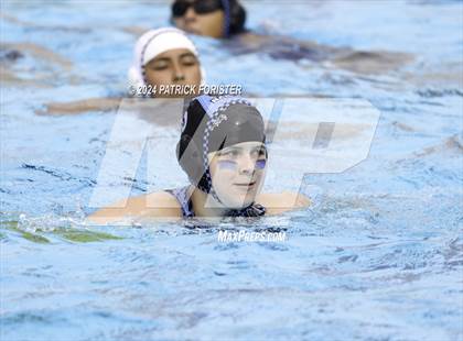 Thumbnail 3 in Harlan @ Sotomayor photogallery.