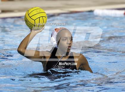 Thumbnail 1 in Harlan @ Sotomayor photogallery.