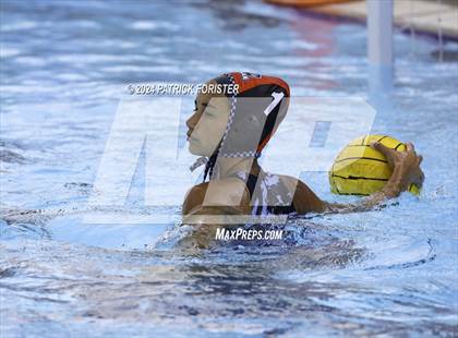 Thumbnail 3 in Harlan @ Sotomayor photogallery.