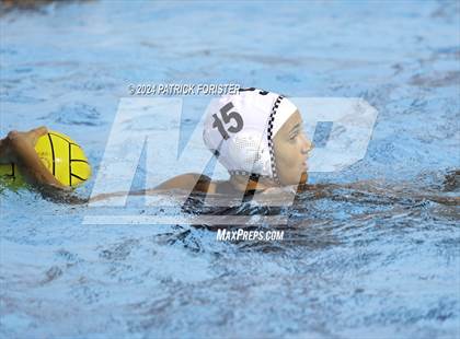 Thumbnail 2 in Harlan @ Sotomayor photogallery.