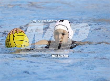 Thumbnail 2 in Harlan @ Sotomayor photogallery.