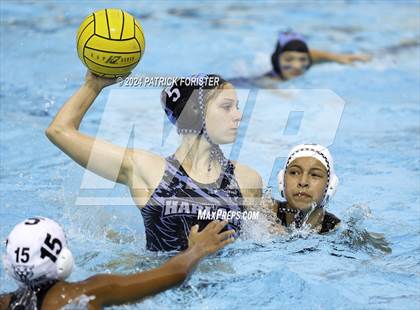 Thumbnail 1 in Harlan @ Sotomayor photogallery.