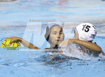 Thumbnail 3 in Harlan @ Sotomayor photogallery.