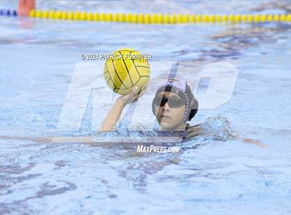 Thumbnail 2 in Harlan @ Sotomayor photogallery.