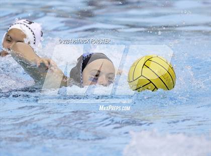 Thumbnail 2 in Harlan @ Sotomayor photogallery.