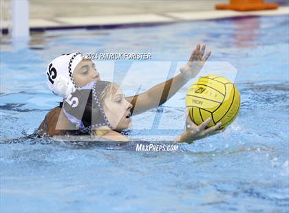 Thumbnail 2 in Harlan @ Sotomayor photogallery.