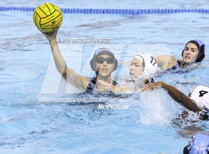 Thumbnail 2 in Harlan @ Sotomayor photogallery.