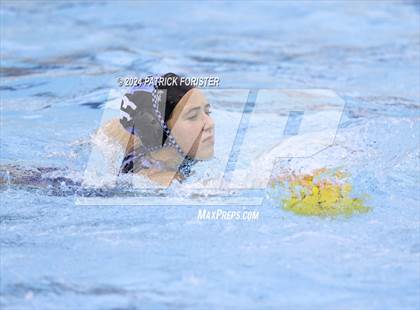 Thumbnail 3 in Harlan @ Sotomayor photogallery.