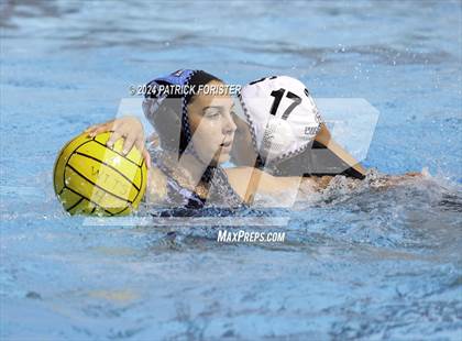 Thumbnail 2 in Harlan @ Sotomayor photogallery.