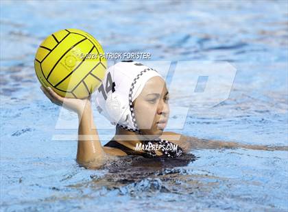 Thumbnail 3 in Harlan @ Sotomayor photogallery.