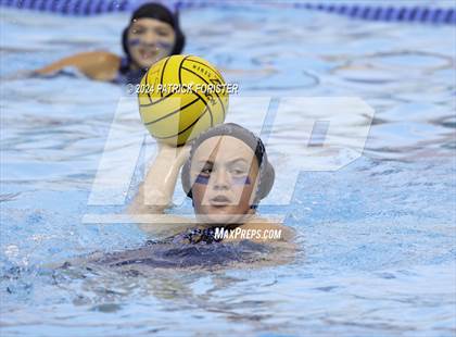 Thumbnail 3 in Harlan @ Sotomayor photogallery.