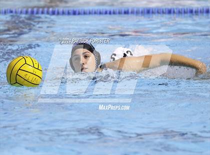 Thumbnail 2 in Harlan @ Sotomayor photogallery.
