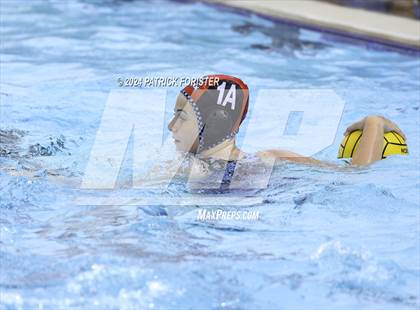 Thumbnail 1 in Harlan @ Sotomayor photogallery.