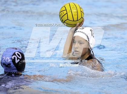 Thumbnail 3 in Harlan @ Sotomayor photogallery.