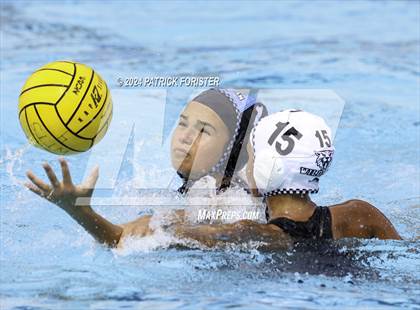 Thumbnail 1 in Harlan @ Sotomayor photogallery.