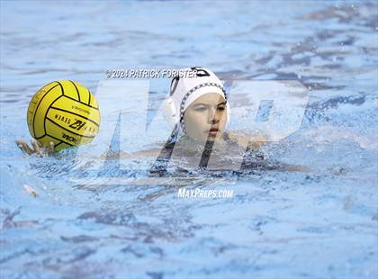 Thumbnail 1 in Harlan @ Sotomayor photogallery.