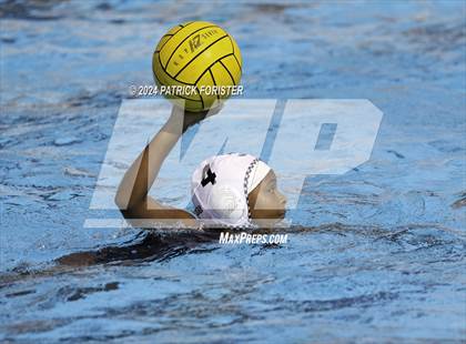 Thumbnail 1 in Harlan @ Sotomayor photogallery.