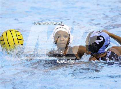 Thumbnail 1 in Harlan @ Sotomayor photogallery.