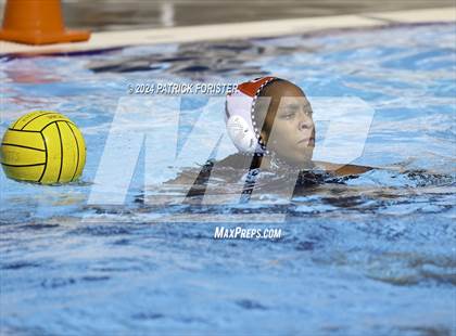 Thumbnail 3 in Harlan @ Sotomayor photogallery.