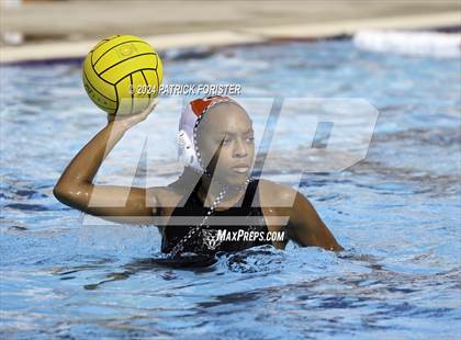 Thumbnail 3 in Harlan @ Sotomayor photogallery.