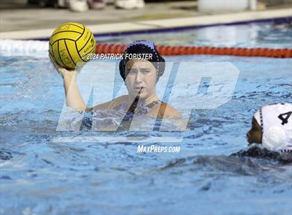 Thumbnail 2 in Harlan @ Sotomayor photogallery.