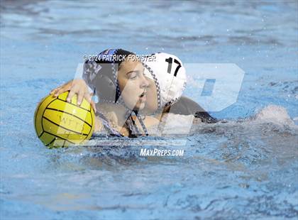 Thumbnail 3 in Harlan @ Sotomayor photogallery.