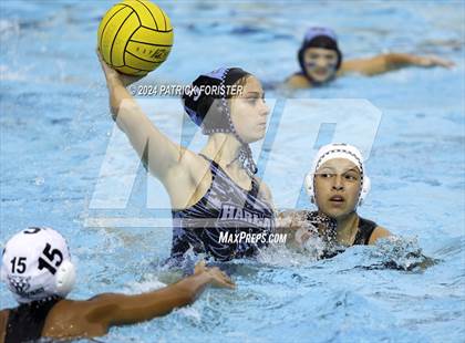Thumbnail 2 in Harlan @ Sotomayor photogallery.