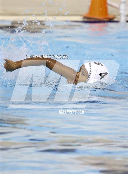 Thumbnail 3 in Harlan @ Sotomayor photogallery.