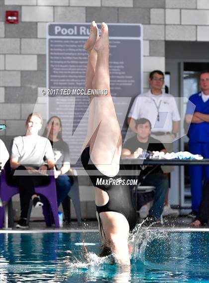 Thumbnail 1 in Conway Invitational Dive/Swim Meet photogallery.