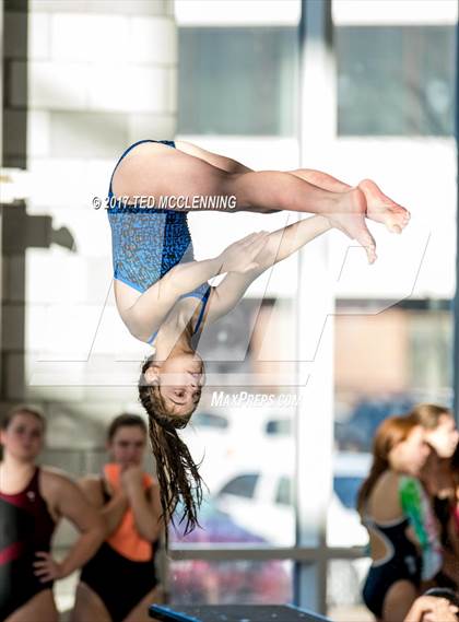 Thumbnail 3 in Conway Invitational Dive/Swim Meet photogallery.
