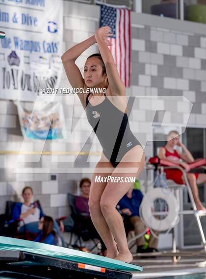 Thumbnail 2 in Conway Invitational Dive/Swim Meet photogallery.