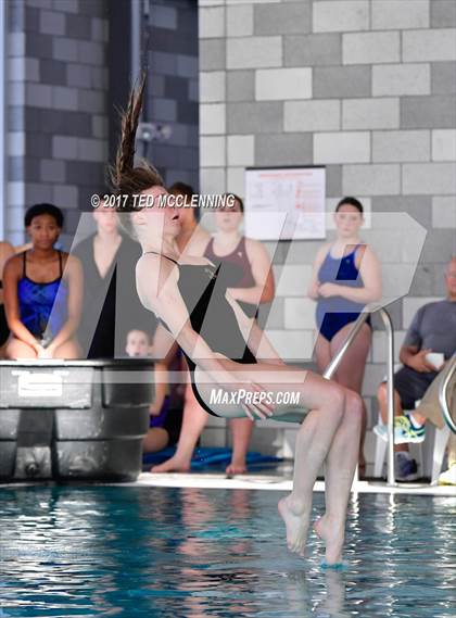 Thumbnail 3 in Conway Invitational Dive/Swim Meet photogallery.