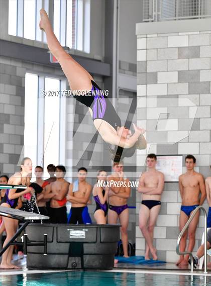 Thumbnail 2 in Conway Invitational Dive/Swim Meet photogallery.