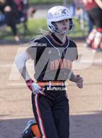 Photo from the gallery "Danville @ Urbana"