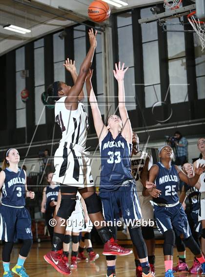 Thumbnail 3 in Archbishop Molloy @ Ossining photogallery.